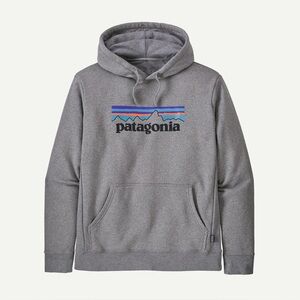 Patagonia Gray Hoodie with Vibrant Logo